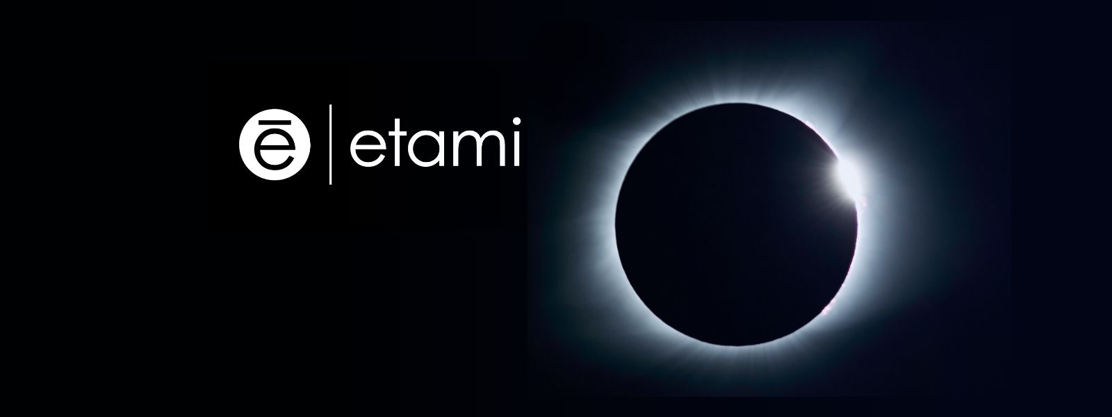 Etami BDVA Task Force